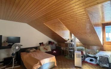 Wohnung 2 Zimmer - image - 3