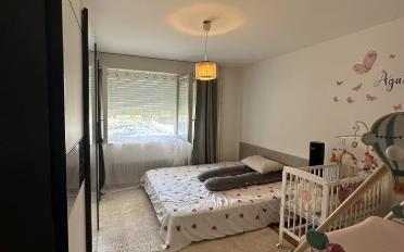 Wohnung 2 Zimmer - image - 2