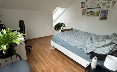 Wohnung 1.5 Zimmer - image - 3