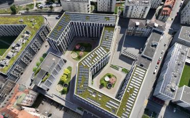 Wohnung 5.5 Zimmer - image - 4