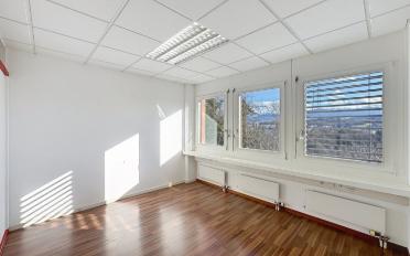 Ladenfläche - image - 2