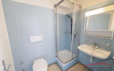 Wohnung 1.5 Zimmer - image - 3