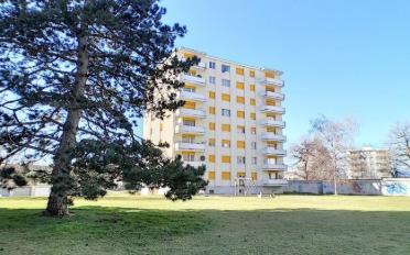 Apartment 3.5 rooms - image - 6