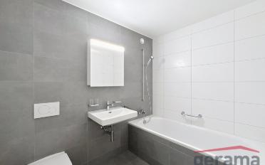 Appartement 2.5 pièces - image - 5