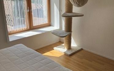Appartement 3.5 pièces - image - 3