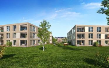 Apartment 2.5 rooms - image - 4