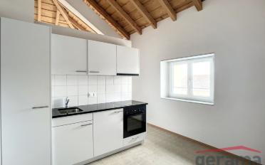 Wohnung 1.5 Zimmer - image - 1