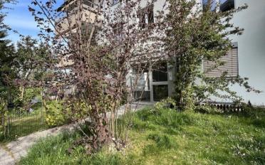 Wohnung 3.5 Zimmer - image - 2