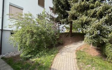 Wohnung 3.5 Zimmer - image - 3