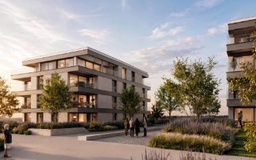 Wohnung 5.5 Zimmer - image - 3