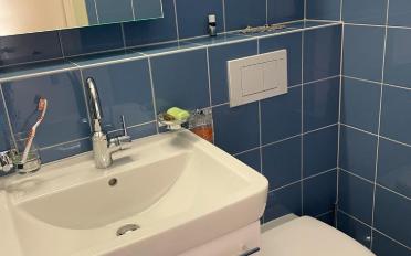 Terrace flat 4.5 rooms - image - 11