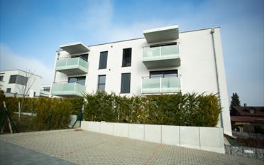 Wohnung 3.5 Zimmer - image - 2