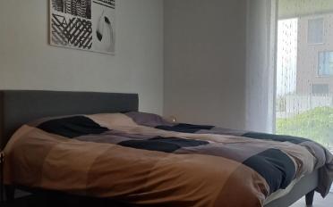 Apartment 1 room - image - 8