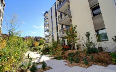 Apartment 2.5 rooms - image - 1