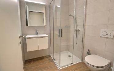 Wohnung 5.5 Zimmer - image - 3