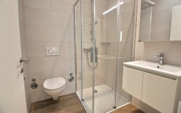 Wohnung 4.5 Zimmer - image - 6