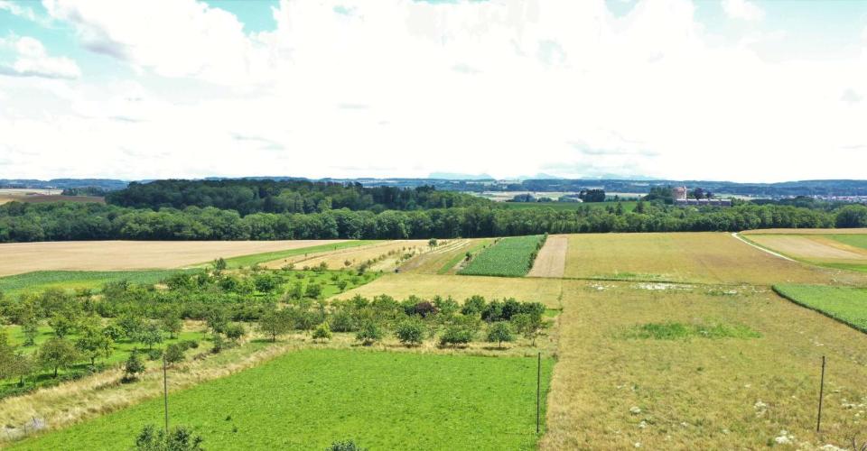 Oulens-sous-Echallens