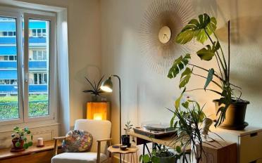 Wohnung 3 Zimmer - image - 2