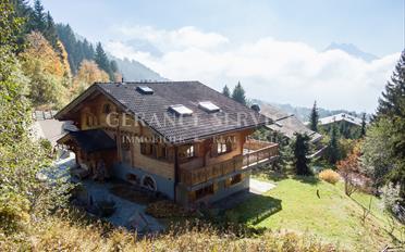 Chalet 7 Zimmer - image - 2