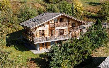 Chalet 7 pièces - image - 1
