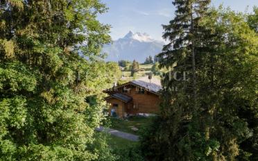 Chalet 6.5 Zimmer - image - 8