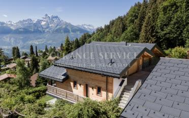 Chalet 9.5 pièces - image - 2