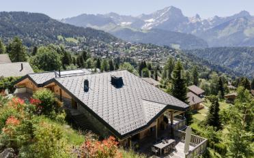Chalet 9.5 pièces - image - 3