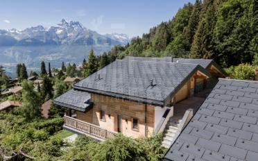 Chalet 9.5 rooms - image - 2