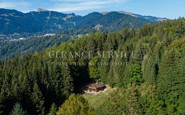 Chalet 4.5 pièces - image - 4