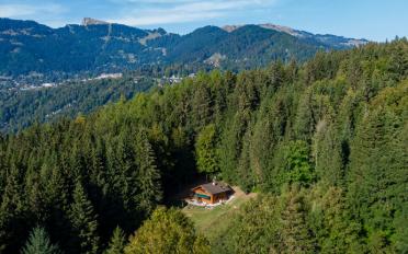 Chalet 4.5 rooms - image - 4