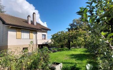 Single house - image - 1