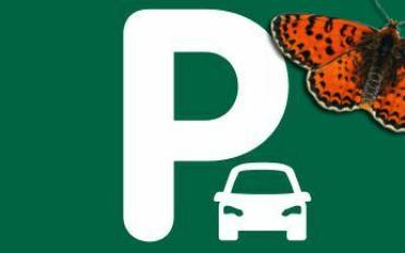 Place souterraine - image - 1