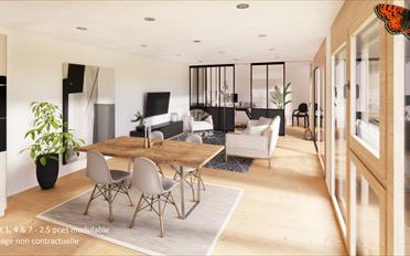 Wohnung 2.5 Zimmer - image - 1