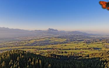 Einfamilienhaus 6 Zimmer - image - 4