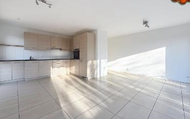 Wohnung 4.5 Zimmer - image - 3