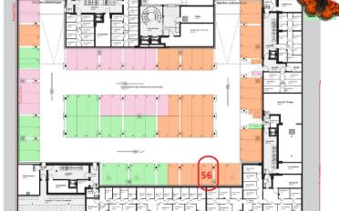 Tiefgarage - image - 3