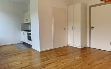 Wohnung ein Zimmer - image - 3
