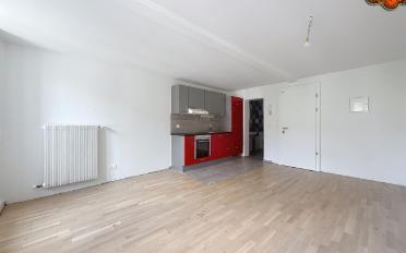 Apartment 1 room - image - 3