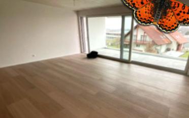 Appartement 2.5 pièces - image - 5