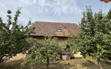 Einfamilienhaus 6.5 Zimmer - image - 13