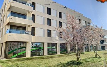 Wohnung 2.5 Zimmer - image - 1