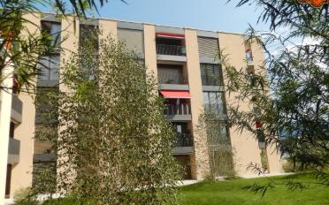 Apartment 2.5 rooms - image - 1
