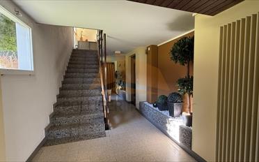 Wohnung 4.5 Zimmer - image - 3