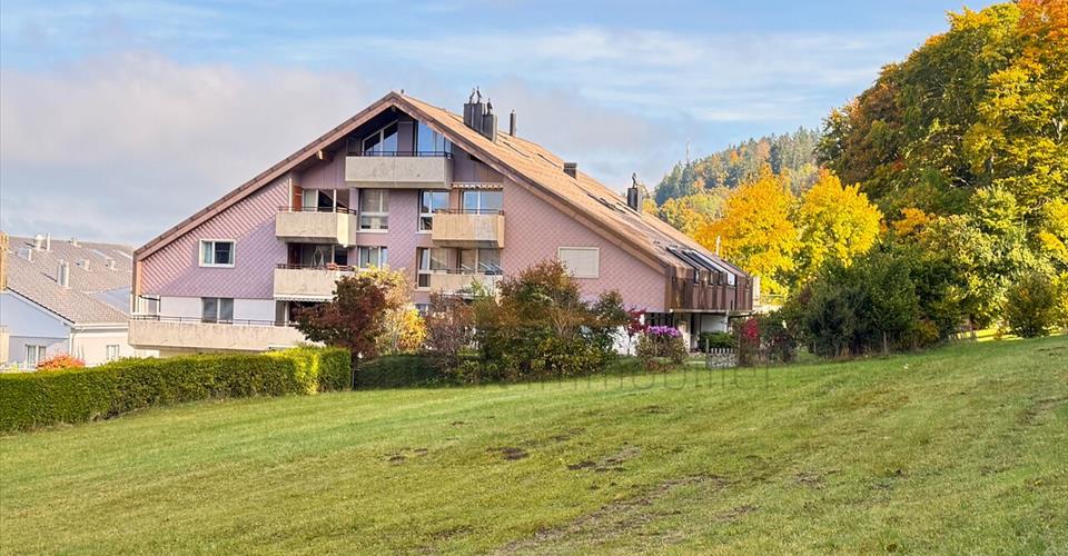 La Chaux-de-Fonds
