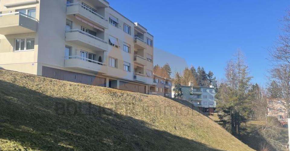 La Chaux-de-Fonds