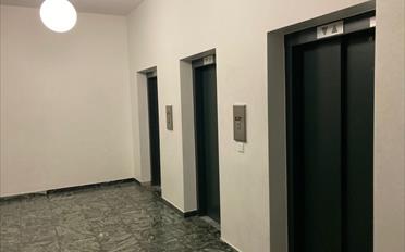 Wohnung 1.5 Zimmer - image - 7