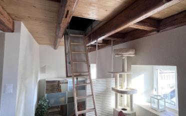 Apartment 3.5 rooms - image - 6