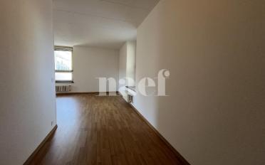 Wohnung 1.5 Zimmer - image - 3