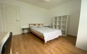 Chambre 1 pièce - image - 3