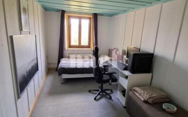 Wohnung 3 Zimmer - image - 4